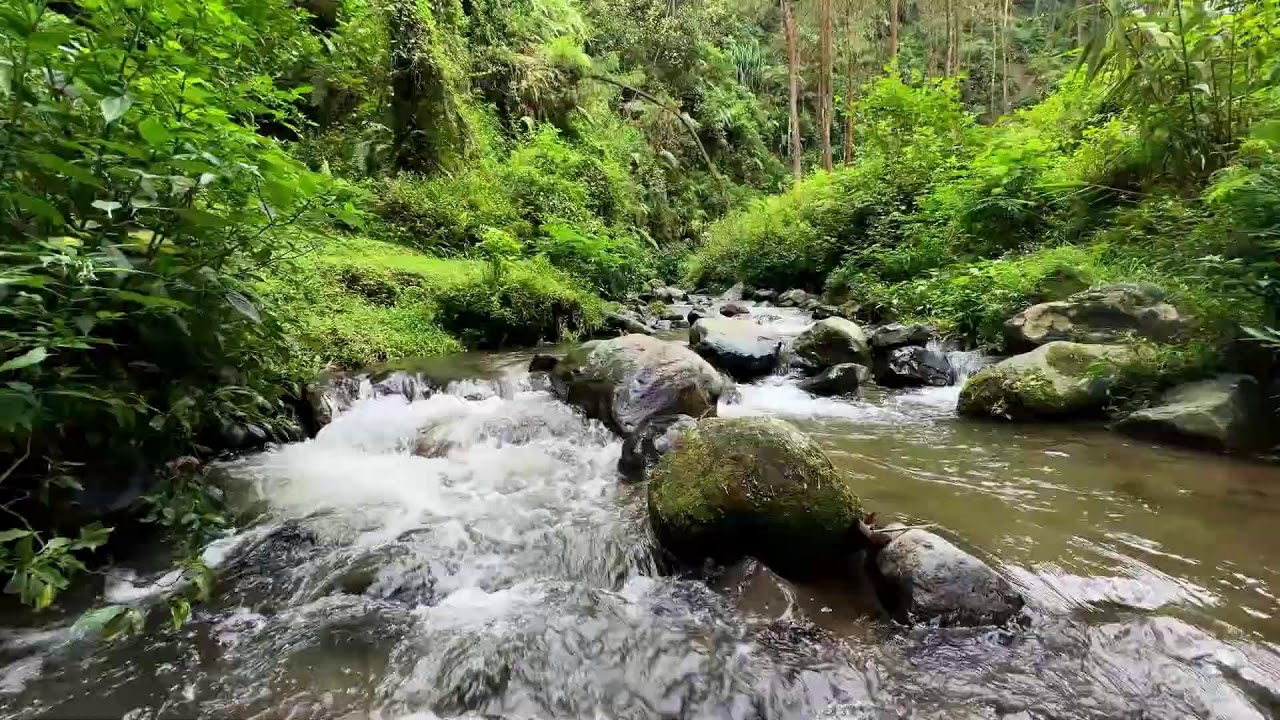 Soft river sound near shining moonlight helping full deep sleep settle in naturally