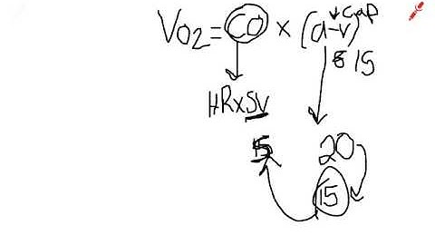 Submaximal v Maximal