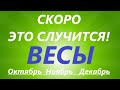 ВЕСЫ♎таро прогноз на ОКТЯБРЬ, НОЯБРЬ, ДЕКАБРЬ 🌷 четвёртый триместр года! Главные события периода!