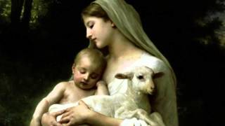 Oraciones Del Consagrado Lazos De Amor Mariano