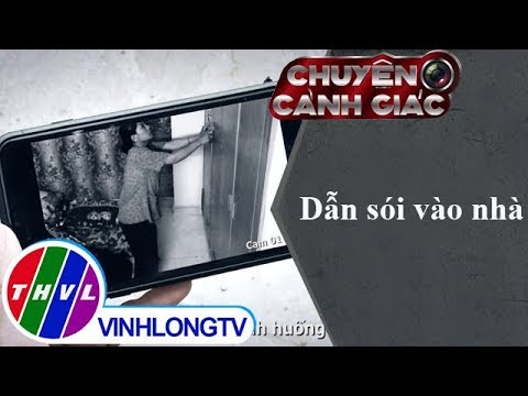 Video THVL | Chuyện cảnh giác: Dẫn sói vào nhà - youtube