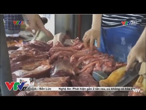 Video Tin Tức VTV24 - Ngày 5/10/2016: Thịt Bò Mà Lại Chẳng... - youtube