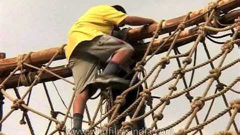 Children climbing web of rope