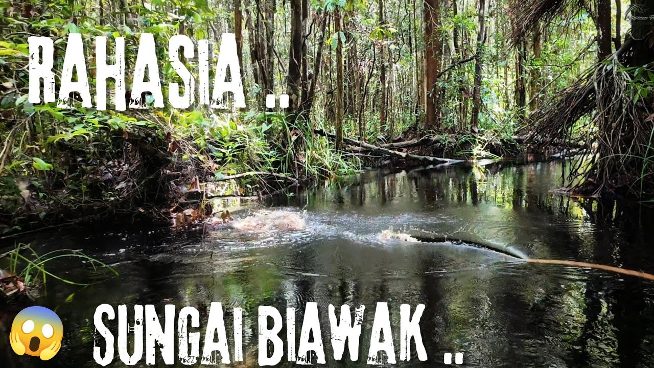 JANGAN BERKEDIP APABILA MANCING DISINI .. !!! ... 😰😱 ...