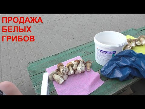 СКОЛЬКО СТОЯТ БЕЛЫЕ ГРИБЫ НА РЫНКЕ! ПРОДАЖА БЕЛЫХ ГРИБОВ! Сколько можно заработать на грибах?