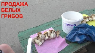 СКОЛЬКО СТОЯТ БЕЛЫЕ ГРИБЫ НА РЫНКЕ! ПРОДАЖА БЕЛЫХ ГРИБОВ! Сколько можно заработать на грибах?