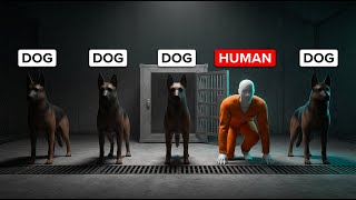 The Prisoner Who Escaped Using Only Library Books