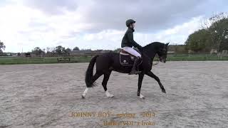 Johnny Boy, Dressage video, Harley VDL x Iroko, gelding, °2014, Belgian Horse Trading