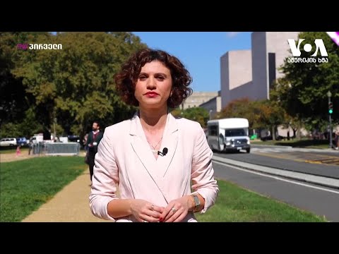 ჯენკინსი: საქართველო დეზინფრომაციის გავრცელებას ხელს არ უნდა უწყობდეს