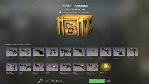 CS:GO Snakebite Case Glove Unboxing