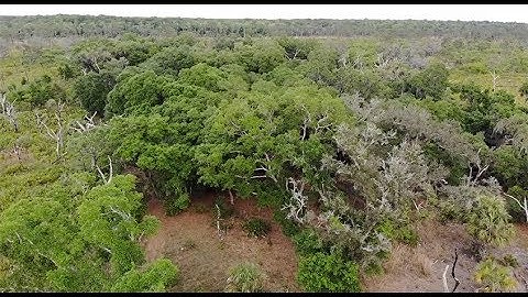 The Department of Forest Biomaterials at NC State University