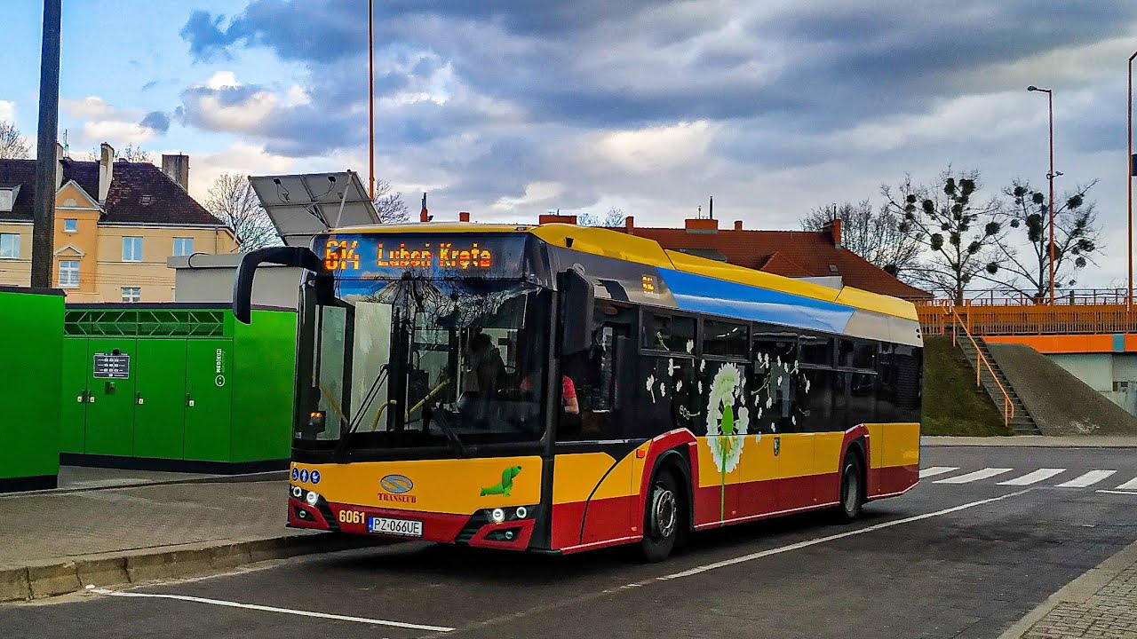 TRANSLUB Luboń - Solaris urbino 12 IV (6061). Linia 614