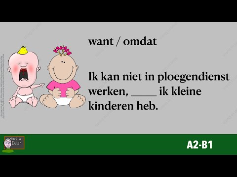 NT2 A2 B1 Want of Omdat - Vul in - Oefeningen - NEDERLANDS LEREN - grammatica - Woordenschat