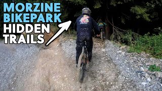 Downhill Pros + Secret Trails = FUN 🤙 by Patricio Escobar 2,277 views 1 year ago 5 minutes, 18 seconds