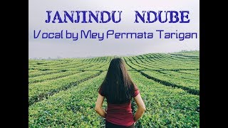 Janjindu Ndube cover by Mey Permata Tarigan