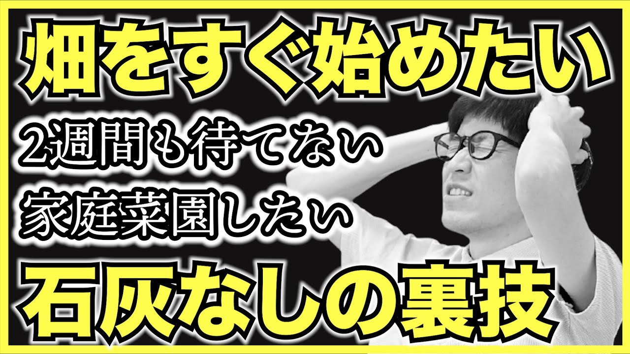 裏ワザ 今すぐ家庭菜園で野菜栽培を始める4つの裏技 消石灰 苦土石灰 有機石灰の使い方 ゴールデンウィークから畑を始める方法 Youtube