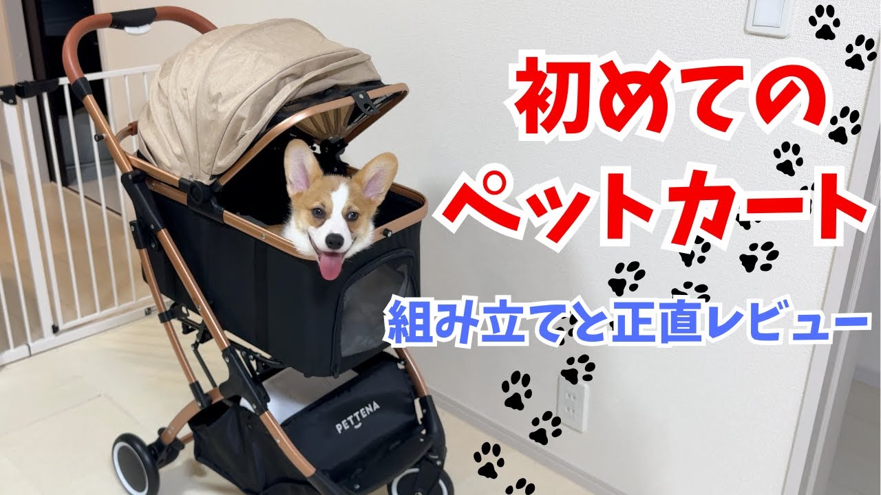 初めてのペットカート