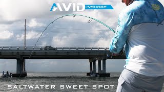 Saltwater Fishing Rods - St. Croix Rod