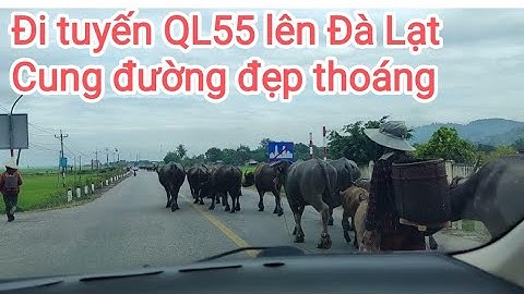 Sài Gòn - Đà Lạt đi tuyến QL55 đường thoáng đẹp P2 luyện đèo dốc cho một bạn nữ lái mới