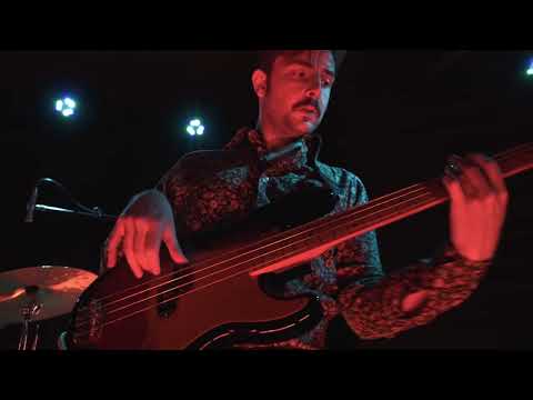 Citrus Citrus - Red Stone Seeds (Live)