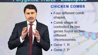 BIO301_Topic093