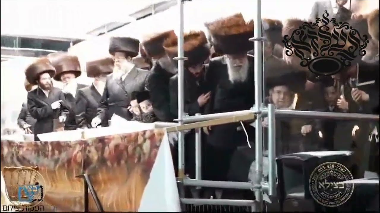 שבועות בחצר הקודש בעלזא
