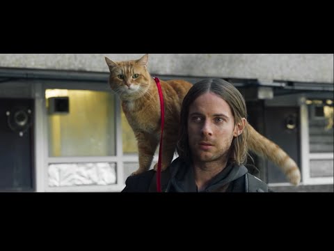 Трейлер №1