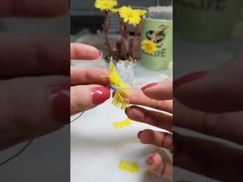 Мать-и-мачеха видеоурок - Coltsfoot  tutorial