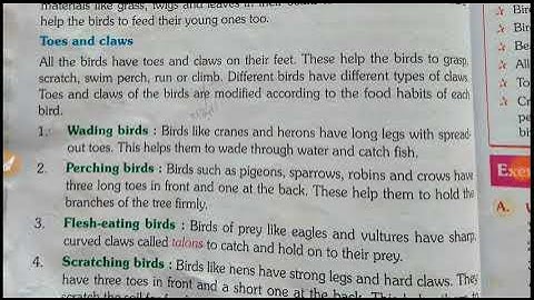 Class-4, EVS, lesson -10 Beaks and claws, part-2