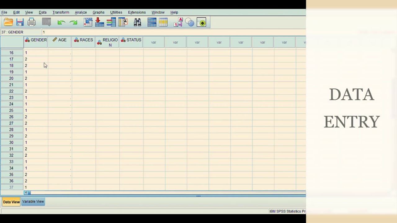 Data Entry & Data Analysis in SPSS - YouTube