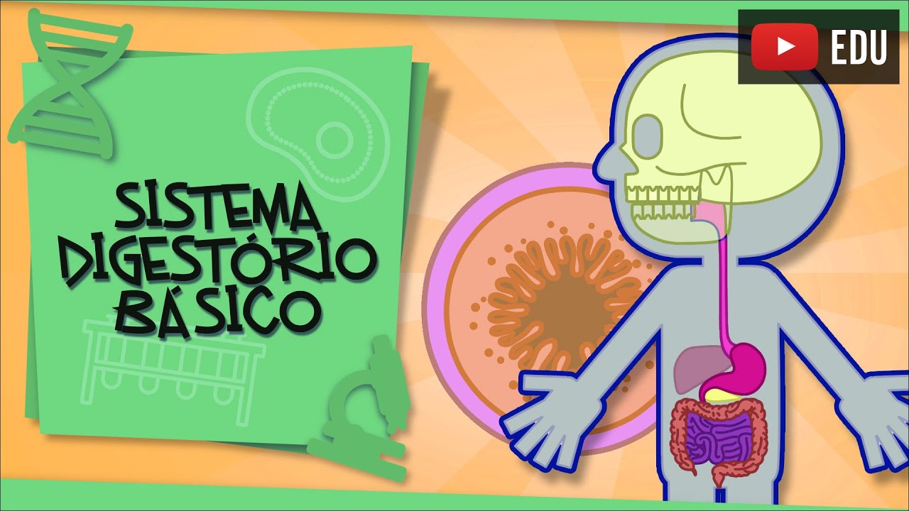 Conhecendo o Sistema Digestório