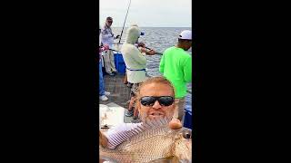 Blue Heron Richie Silver Snapper #short