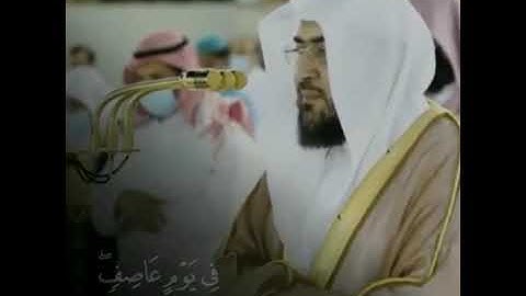 تلاوة هادئة وخاشعة للشيخ بندر بليلة