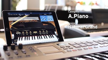 KORG Module for iPad | MOBILE SOUND MODULE