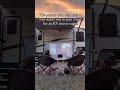 Why limit movie nights to indoors?