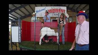 Midwest Stud Ram Sale 2021