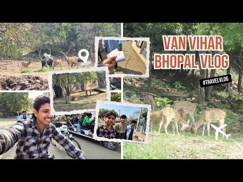 Unexpected Jungle Trip 😎 | Van Vihar Bhopal Vlog - YouTube