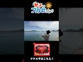 【チヌもマダイも狙えます】やってきましたフカセ釣りの好シーズン