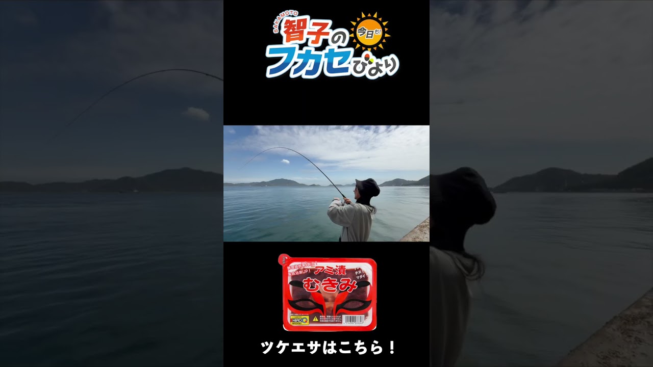 【チヌもマダイも狙えます】やってきましたフカセ釣りの好シーズン