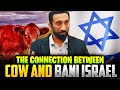 The Cow And The Bani Israel Brief Explanation Nouman Ali Khan The Cow And The Bani Israel Brief Explanation Nouman Ali Khan