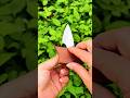Paring Knife #Fruit Knife #Meat KnifeKitchen Supplies Pay attention #fruit #knife #trending #shorts
