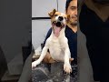 today dog catching vlog #dog #dogcare #dogvaccination #dogfunnyvideos #dogshort #yt #explore #fyp