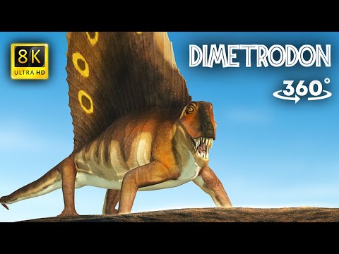 VR Jurassic Encyclopedia #4 - Dimetrodon dinosaur facts 360 Education