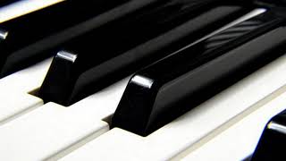 Minimal Romantic Solo Piano Music for your projects! screenshot 3