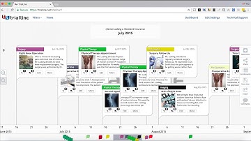 TrialLine Tutorial - Navigating the Rendered View - Timelines for Lawyers
