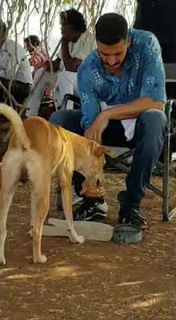 Akshay kumar feeding a dog on set,,😍