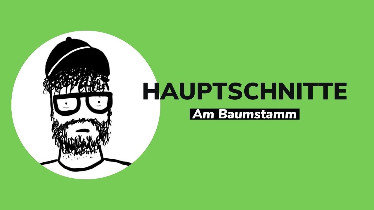 KFKA#27 - Was sind die HAUPTSCHNITTE am Baumstamm? | Schreinerwissen | puradietischler