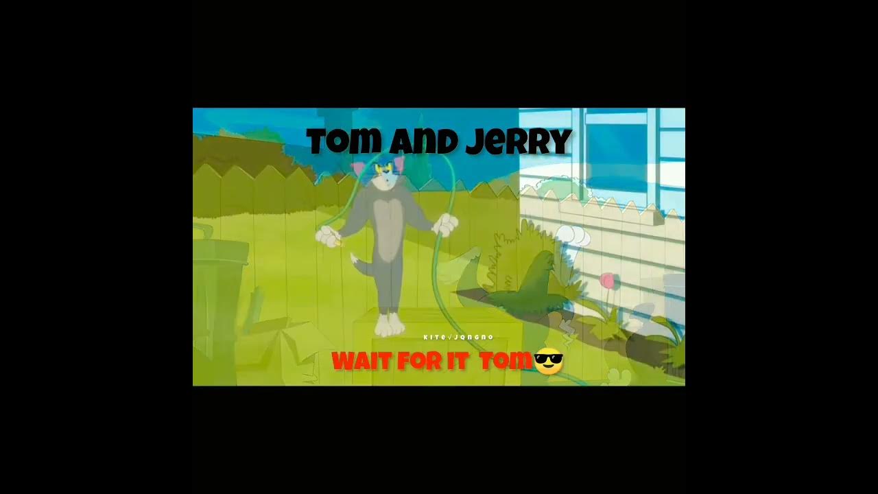 Wait for Tom😎(TOM AND JERRY) By Kite√jangno. YouTube