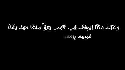 سورة يوسف (للقارئ ياسر ممدوح)