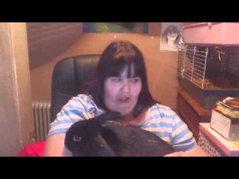 camera iphone 8 plus apk adult male rabbit